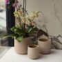 Luciana Pot – Light Pink – 4″